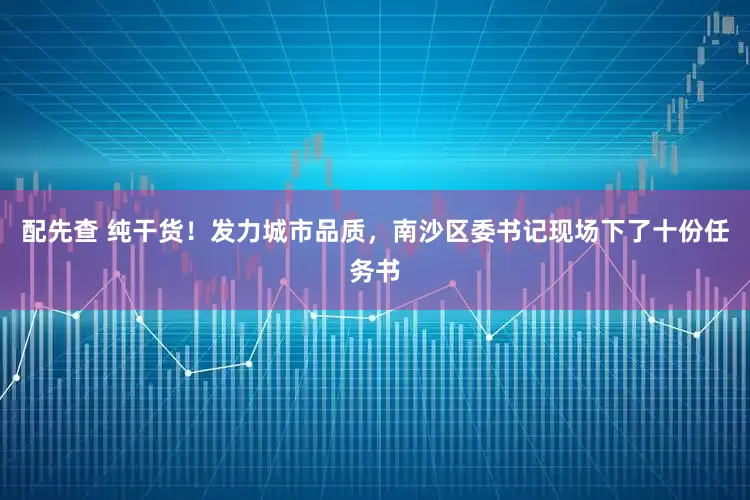 配先查 纯干货!发力城市品质,南沙区委书记现场下了十份任务书